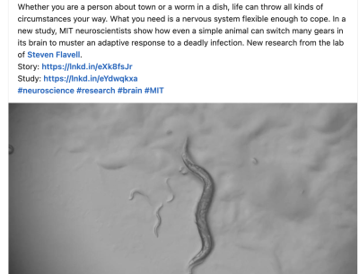 Flavell Lab Research Featured on Picower Institute’s LinkedIn